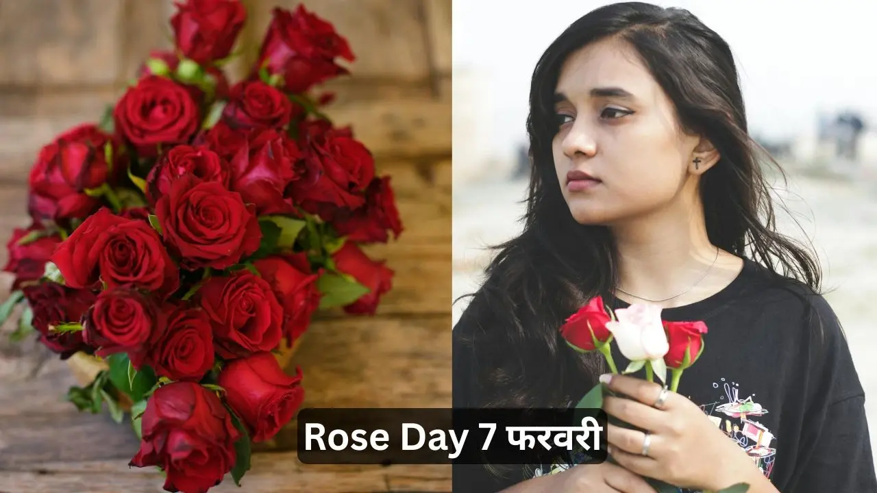 आज 7 फरवरी Rose Day है या नहीं, Valentine Week 2026 की पूरी लिस्ट